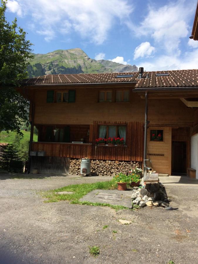 Ferienwohnung Lindenheim カンデルシュテッグ エクステリア 写真